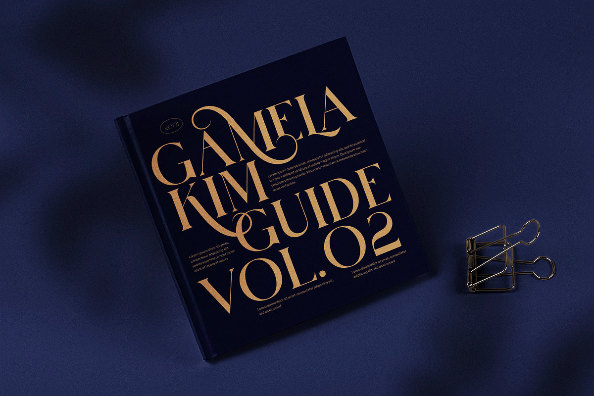 Kamilo Elegant Serif Font, a Serif Font by Perfectype (Photo 7 of 8)