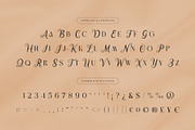 Opaline – Display Serif Script, a Font by Almeera Std (Thumbnail 6 of 10)