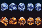 Skulls Vector Set, an Illustration by BusOne (Thumbnail 3 of 4)