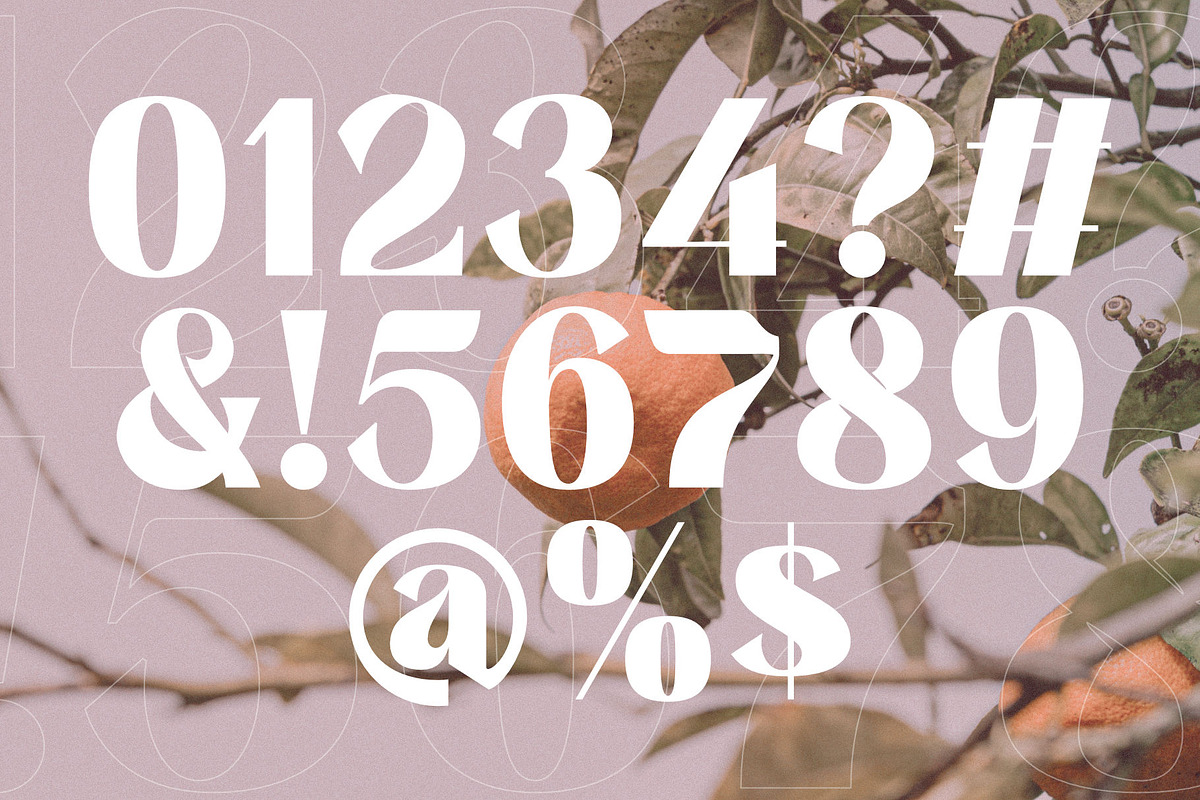 Saitering | A Modern Sans Serif, a Sans Serif Font by Andrimada Creative (Photo 11 of 11)