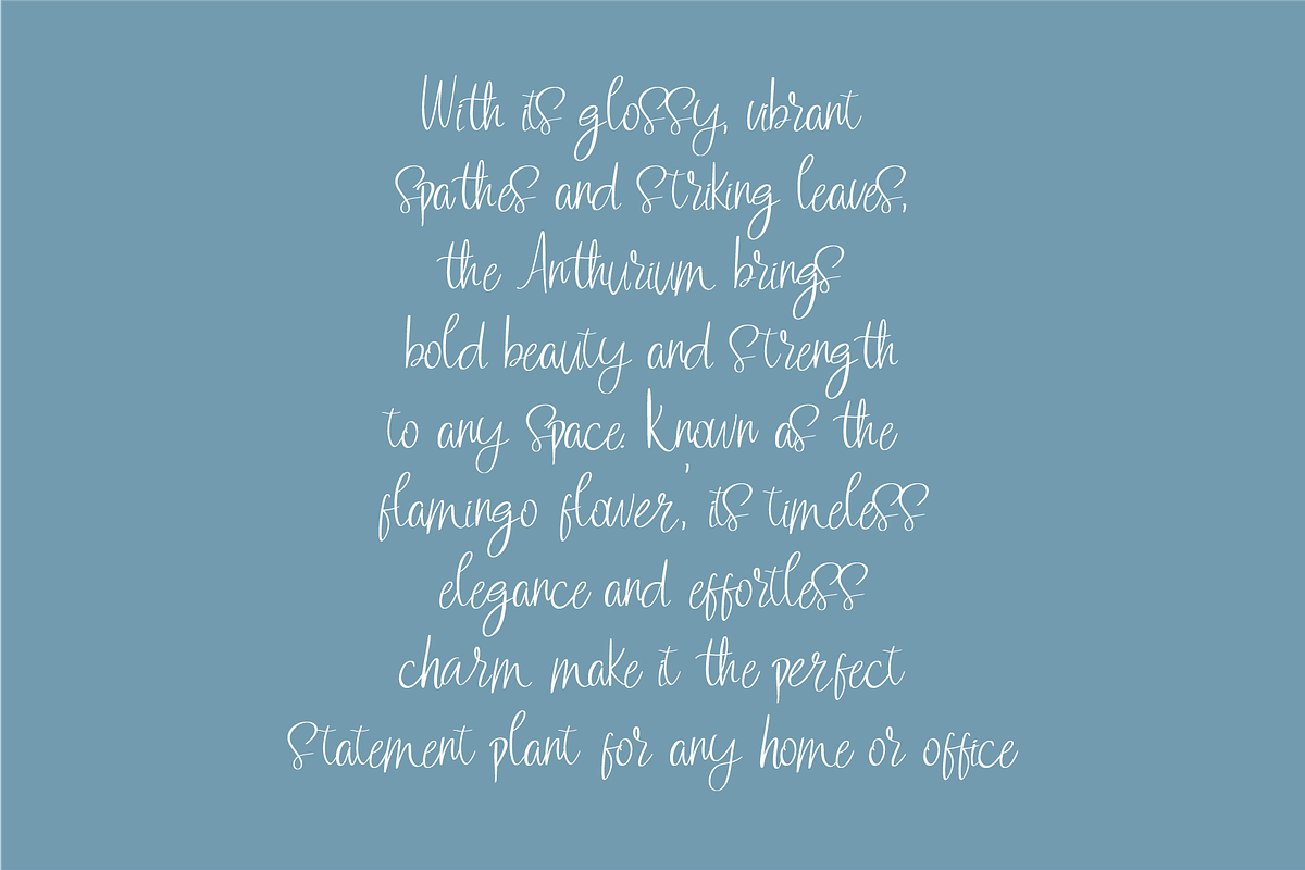 Valoria Script, a Script Font by Berdansabersama (Photo 7 of 9)