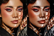 30 Silver LUT Collection, a Preset Add-On by 3Motional (Thumbnail 7 of 10)