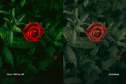 Fuji Fortia SP, a Preset Add-On by colorituals (Thumbnail 3 of 8)