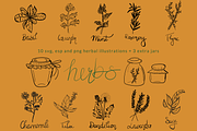 Herbal Illustrations/Icons, a Food Illustration by Mindful & Curious Design (Thumbnail 2 of 3)