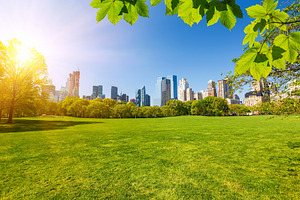 Central park new york containing central park, park, and central
