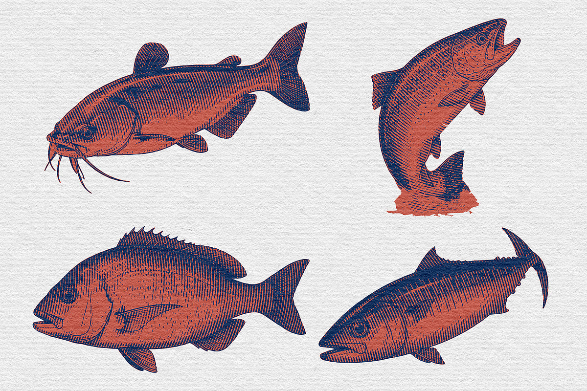 Vintage Fish Engraving, an Animal Illustration by Kaizla03 (Photo 7 of 7)