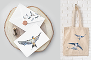 Swallows Watercolour Set, a Decorative Illustration by Tati Bordiu (Thumbnail 5 of 6)