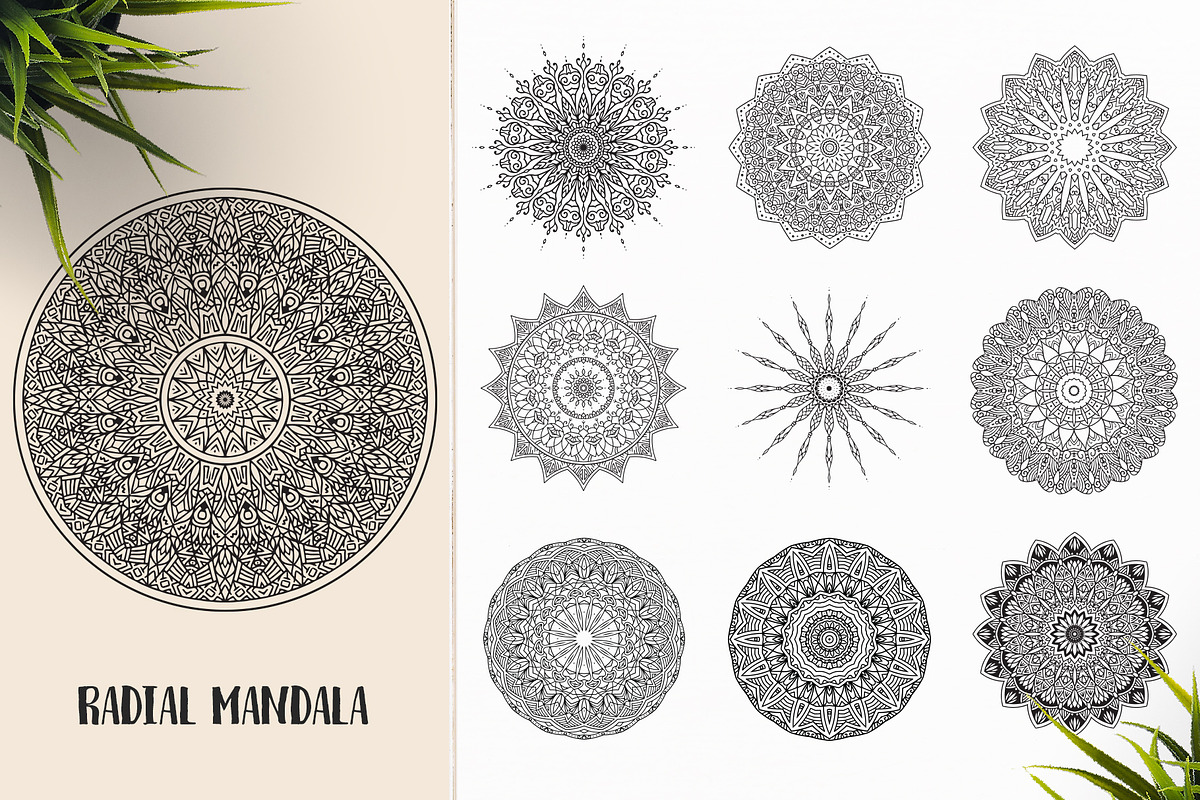 530 Vector Mandala Ornaments, an Animal Illustration by pixaroma (Photo 46 of 55)