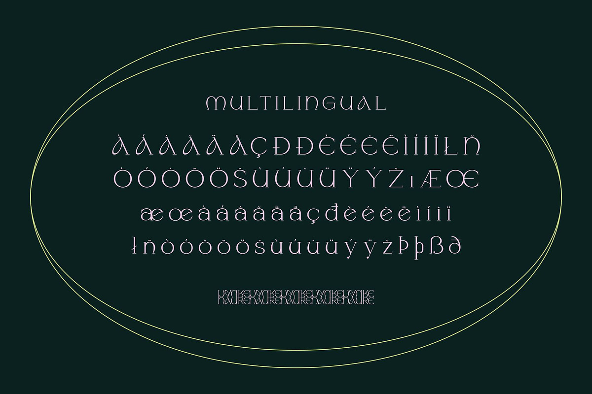 Naure - Serif Display, a Serif Font by takoliko (Photo 11 of 11)