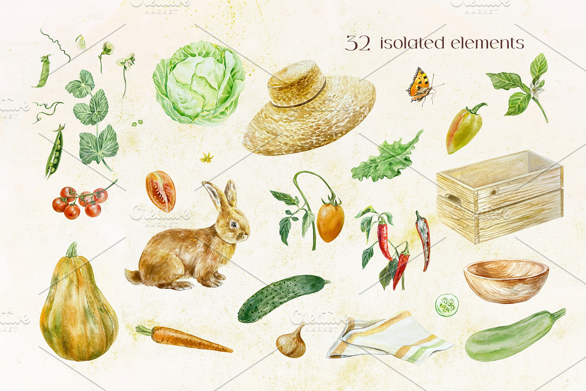 Vegetables Watercolor clip art, a Food Illustration by Farida Bik (Photo 2 of 12)