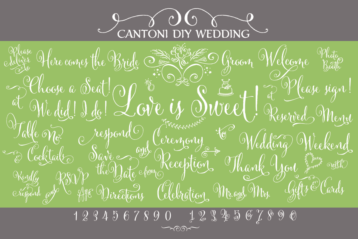 Cantoni DIY Wedding Font preview 2
