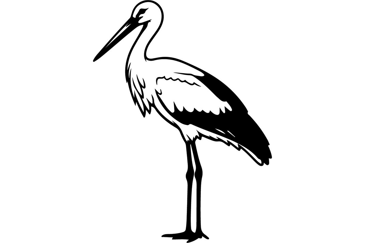 Bird Silhouette Vector Mega Bundle, an Animal Illustration by Designer_Momina (Photo 12 of 21)