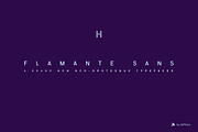 Flamante Sans -8 fonts-, a Sans Serif Font by deFharo (Thumbnail 5 of 7)