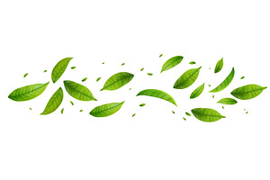 Green Floating Leaves, an Object Illustration by ModVector