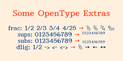 BetterIngriana, a Serif Font by Ingrimayne Type (Thumbnail 10 of 11)
