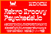 The Momentum font, a Handwritten Font by weknow (Thumbnail 5 of 8)