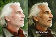 Cinewood Lightroom Presets, a Preset Add-On by Presetrain Co. (Thumbnail 6 of 10)