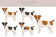 Jack Russel Terrier smooth-haired, an Animal Illustration by pet design shop (Thumbnail 2 of 6)