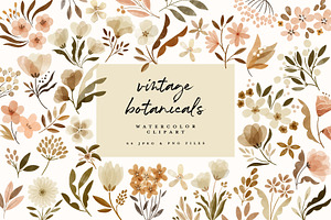 watercolor vintage botanical flowers