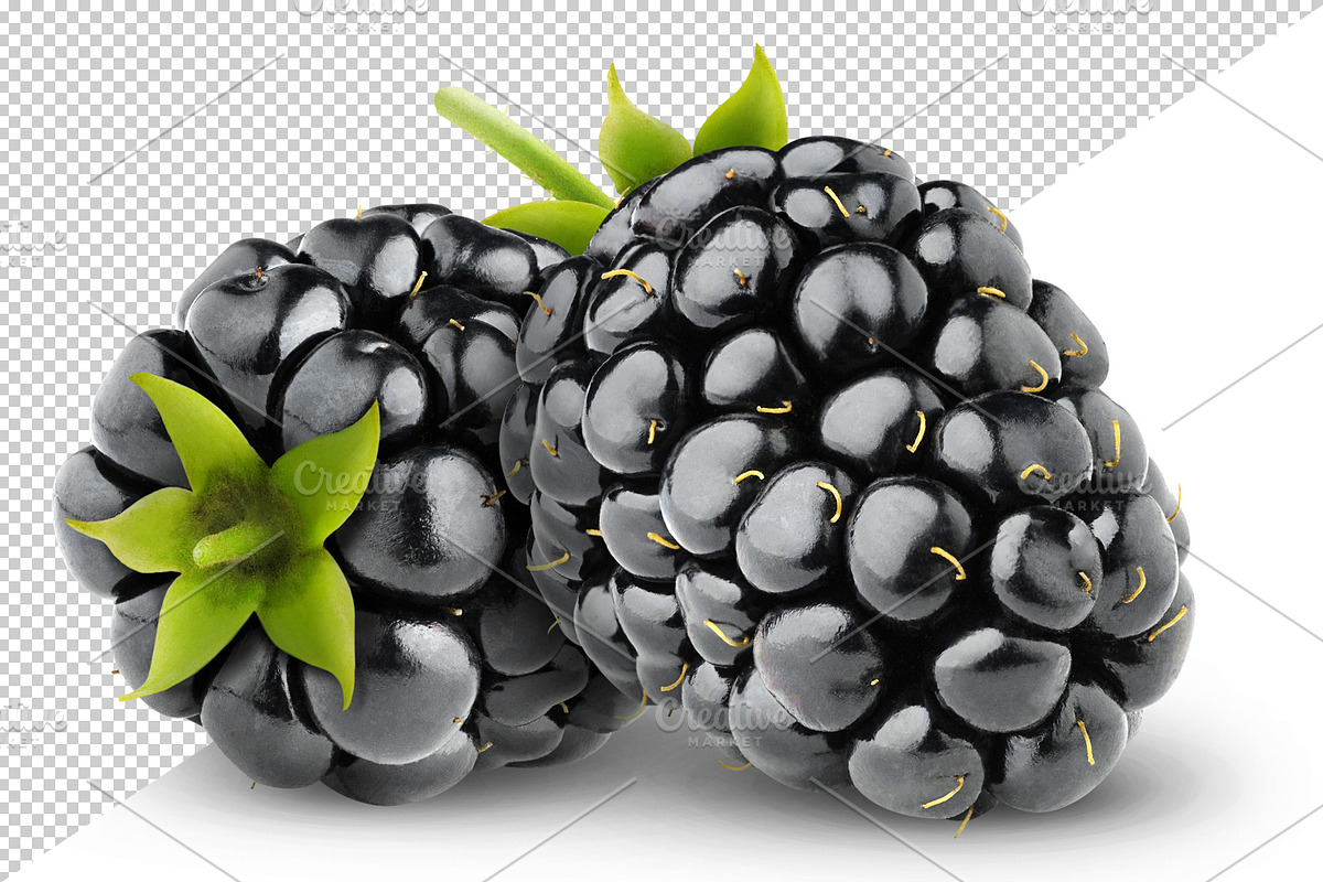 Two blackberries preview 3