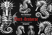 10 Bundle Dark Art Seahorse Sea, an Illustration by Morspective (Thumbnail 1 of 7)