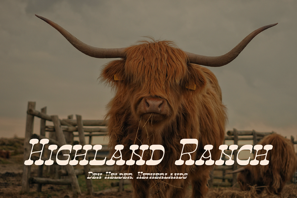Ngarai Biscet | Western Slab Serif, a Slab Serif Font by Denustudios (Photo 6 of 15)