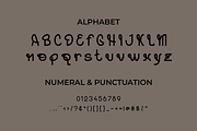 Font Bundle Modern Display, a Sans Serif Font by MaikoHatta (Thumbnail 3 of 12)