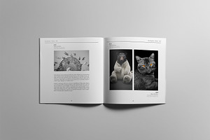 Minimal Square Magazine Template II