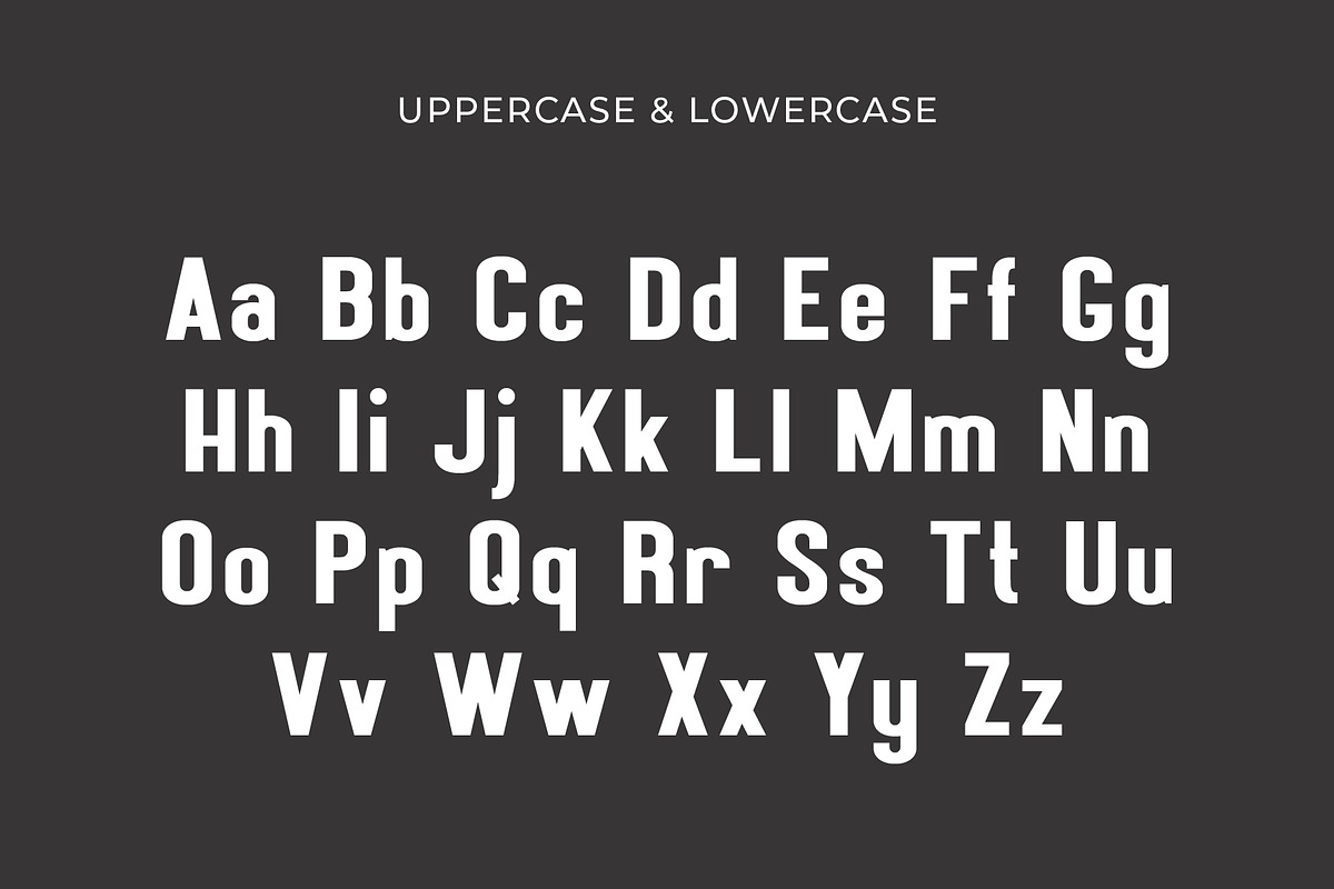 Brizmax - Maximum Monospace Font, a Sans Serif Font by Pikgura (Photo 2 of 6)