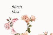 Watercolor Floral Bundle (45 in 1), a Decorative Illustration by Lana Elanor (Thumbnail 156 of 180)