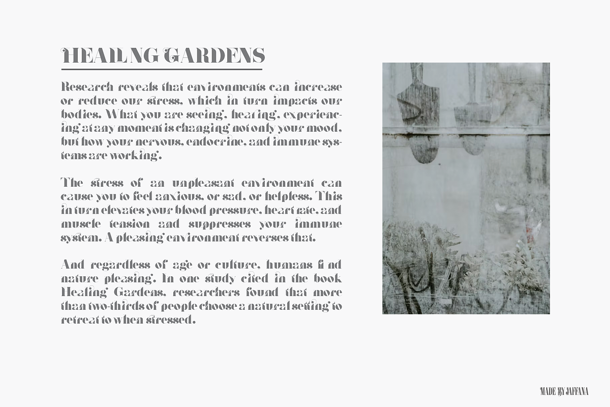 BAFALL, a Serif Font by jaffana.co (Photo 5 of 6)