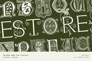Ornate Botanical Drop Cap Font No15, a Serif Font by Century Library