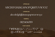 SS Geraldine - Beauty Serif Font, a Serif Font by Typocracy Studio (Thumbnail 11 of 11)