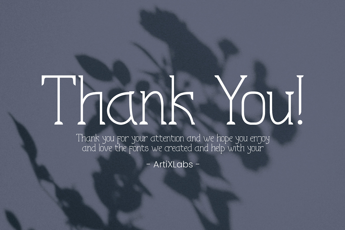 Astralyz Serif Font Type, a Serif Font by ArtiXLabs (Photo 10 of 10)