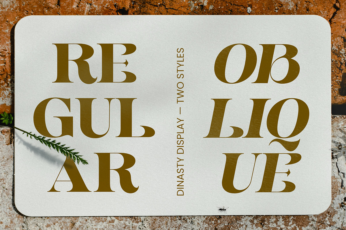 Dynasti Display Font, a Serif Font by Megatype (Photo 7 of 11)