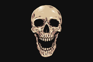 Skull Hand Drawn Illustration