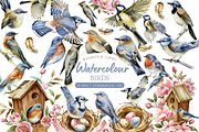 Watercolor Birds Clipart Collection, an Illustration by MockupWizard (Thumbnail 1 of 5)