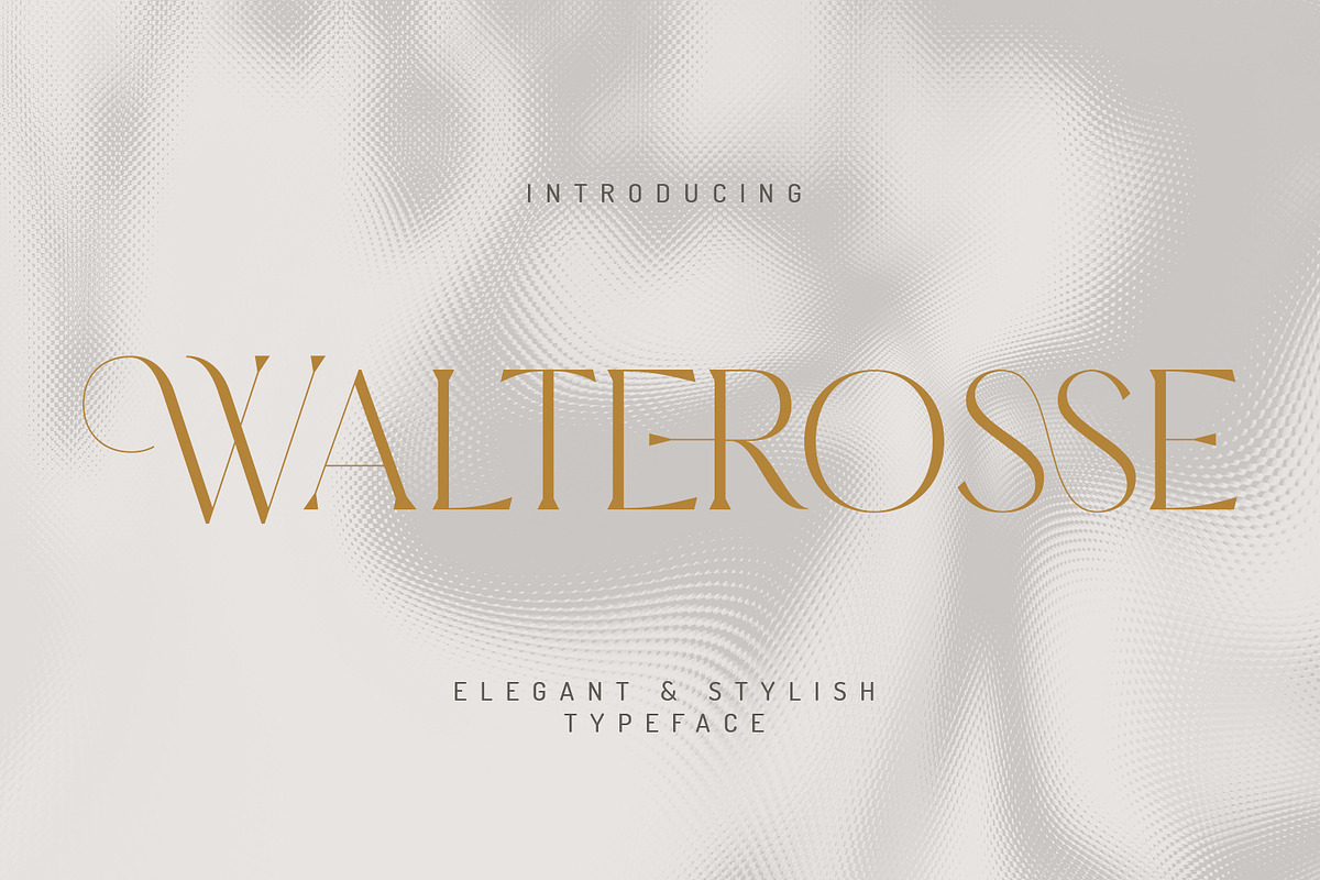 Walterosse - Elegant Display Serif, a Serif Font by Almarkhatype (Photo 1 of 10)