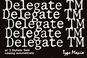 Delegate TM – Dynamic Typewriter, a Serif Font by Type Mania (Thumbnail 1 of 11)