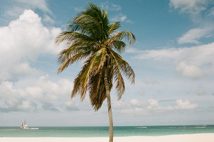 35mmFilm Stock Photo Caribbean Beach