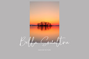 Sofija Elegant Script Font, a Script Font by NTC Graphic (Thumbnail 5 of 9)