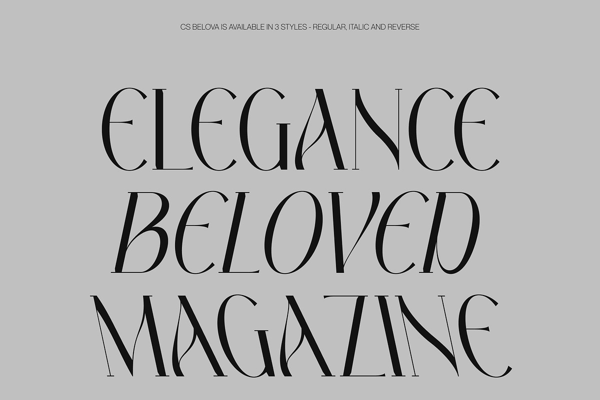 CS Belova – Elegant Serif Font, a Serif Font by Craft Supply Co. (Photo 4 of 8)