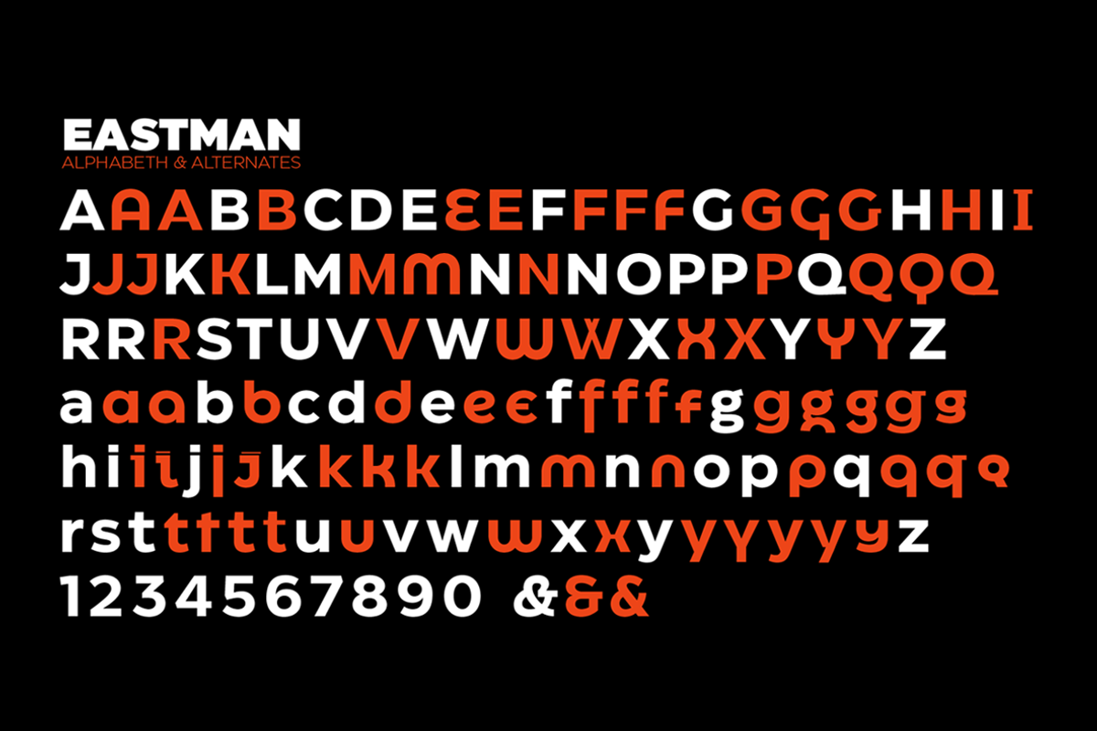 Eastman - 42 fonts, a Sans Serif Font by Zetafonts (Photo 9 of 12)