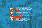 Souta - Japanese Style Display Font, a Sans Serif Font by Brand Earth (Thumbnail 6 of 7)