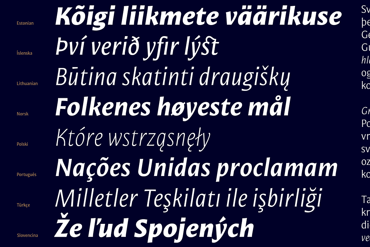 Mestiza Sans, a Sans Serif Font by Lechuga Type (Photo 17 of 19)