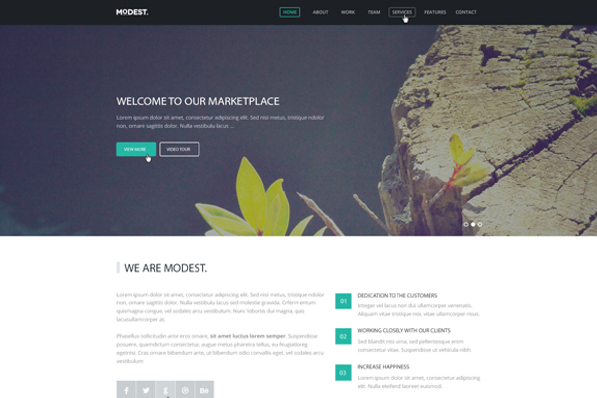 Modest – Responsive Landing Page, a Landing Page Template by PsdBooster