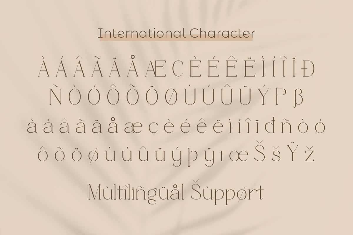 Effectas, a Serif Font by Rishsketch (Photo 12 of 13)