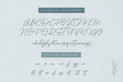 Adelyn Script Font, a Script Font by Freshly Made Type (Thumbnail 13 of 13)