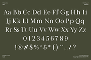 Lunareth - Minimalist Classic Serif, a Serif Font by Indotype Foundry (Thumbnail 5 of 10)