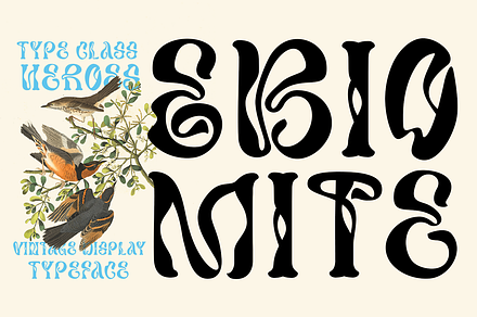 Ebiomite Font